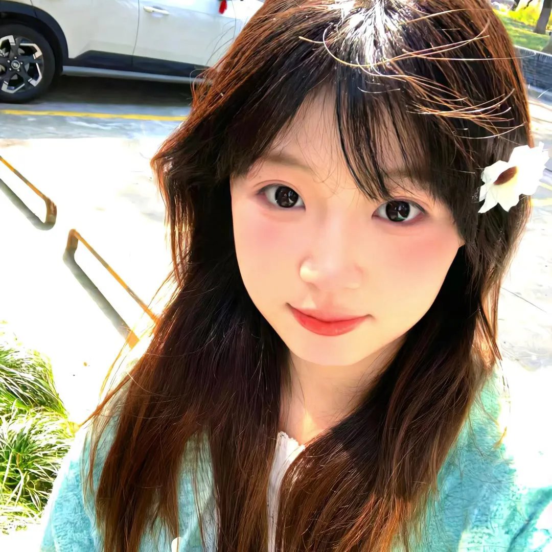 夏日菊花茶前传